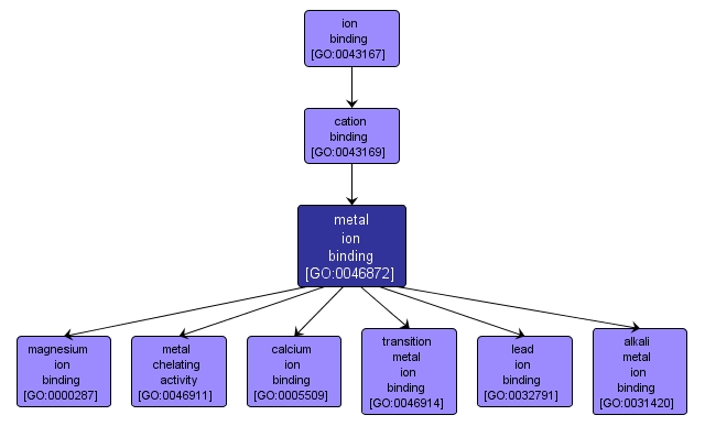 GO:0046872 - metal ion binding (interactive image map)