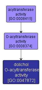 GO:0047872 - dolichol O-acyltransferase activity (interactive image map)