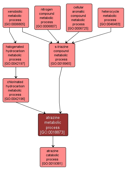 GO:0018873 - atrazine metabolic process (interactive image map)
