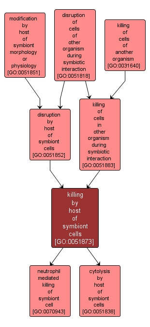 GO:0051873 - killing by host of symbiont cells (interactive image map)