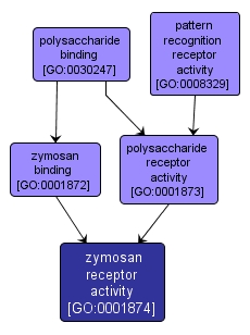 GO:0001874 - zymosan receptor activity (interactive image map)