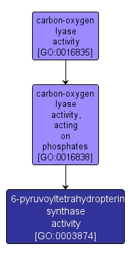 GO:0003874 - 6-pyruvoyltetrahydropterin synthase activity (interactive image map)