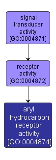 GO:0004874 - aryl hydrocarbon receptor activity (interactive image map)