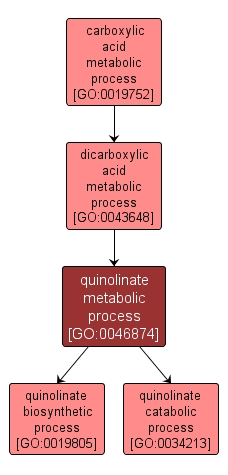 GO:0046874 - quinolinate metabolic process (interactive image map)