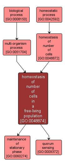 GO:0048874 - homeostasis of number of cells in a free-living population (interactive image map)