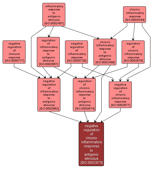 GO:0002875 - negative regulation of chronic inflammatory response to antigenic stimulus (interactive image map)