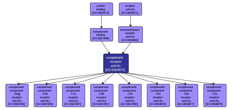 GO:0004875 - complement receptor activity (interactive image map)