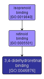 GO:0046876 - 3,4-didehydroretinal binding (interactive image map)
