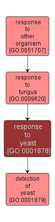 GO:0001878 - response to yeast (interactive image map)