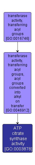 GO:0003878 - ATP citrate synthase activity (interactive image map)