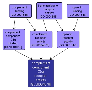 GO:0004878 - complement component C5a receptor activity (interactive image map)