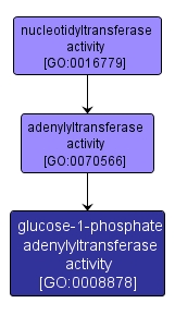 GO:0008878 - glucose-1-phosphate adenylyltransferase activity (interactive image map)