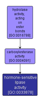 GO:0033878 - hormone-sensitive lipase activity (interactive image map)