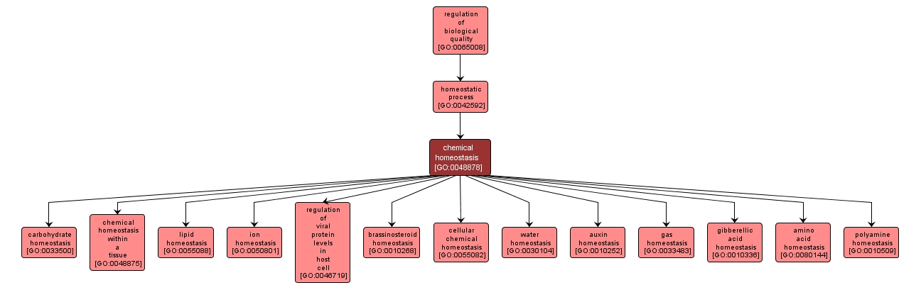 GO:0048878 - chemical homeostasis (interactive image map)