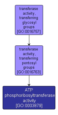 GO:0003879 - ATP phosphoribosyltransferase activity (interactive image map)