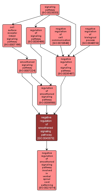 GO:0045879 - negative regulation of smoothened signaling pathway (interactive image map)