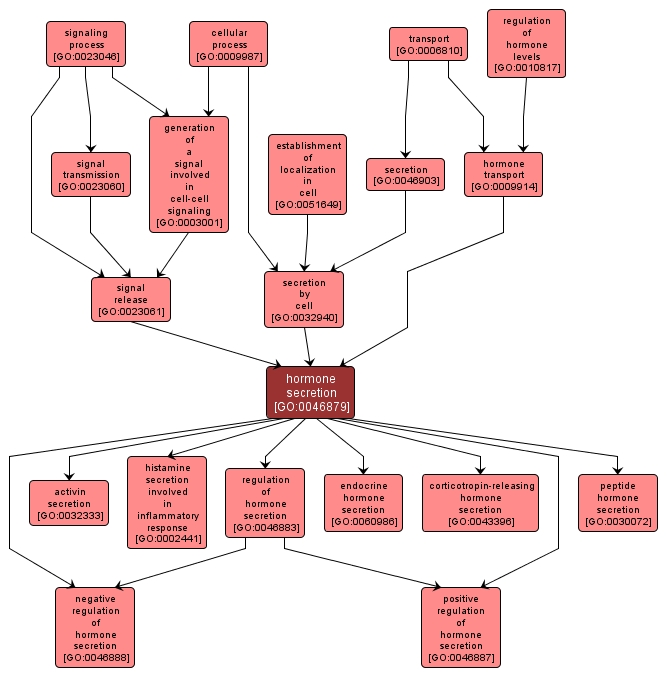 GO:0046879 - hormone secretion (interactive image map)