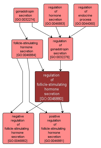 GO:0046880 - regulation of follicle-stimulating hormone secretion (interactive image map)