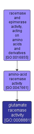 GO:0008881 - glutamate racemase activity (interactive image map)