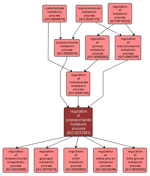 GO:0032881 - regulation of polysaccharide metabolic process (interactive image map)