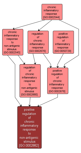 GO:0002882 - positive regulation of chronic inflammatory response to non-antigenic stimulus (interactive image map)