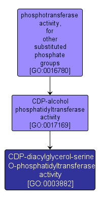 GO:0003882 - CDP-diacylglycerol-serine O-phosphatidyltransferase activity (interactive image map)