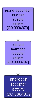 GO:0004882 - androgen receptor activity (interactive image map)