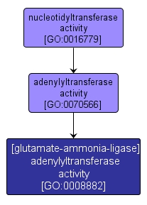 GO:0008882 - [glutamate-ammonia-ligase] adenylyltransferase activity (interactive image map)