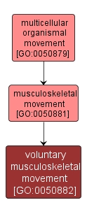 GO:0050882 - voluntary musculoskeletal movement (interactive image map)