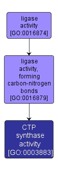 GO:0003883 - CTP synthase activity (interactive image map)