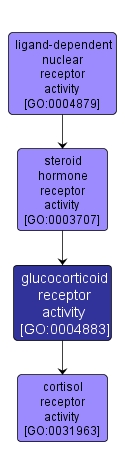 GO:0004883 - glucocorticoid receptor activity (interactive image map)
