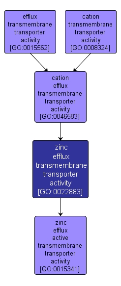 GO:0022883 - zinc efflux transmembrane transporter activity (interactive image map)