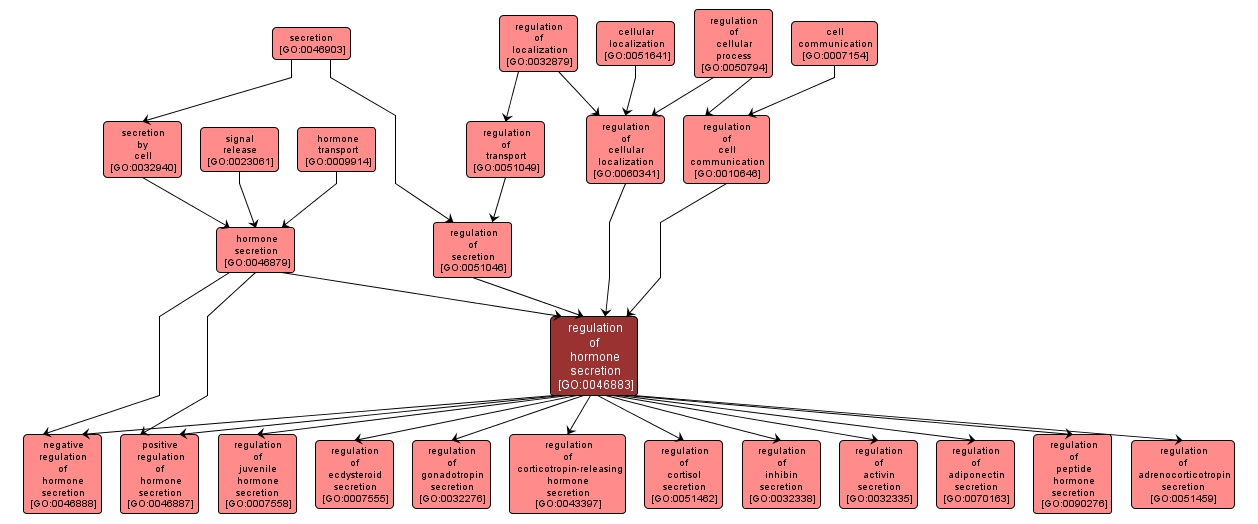 GO:0046883 - regulation of hormone secretion (interactive image map)