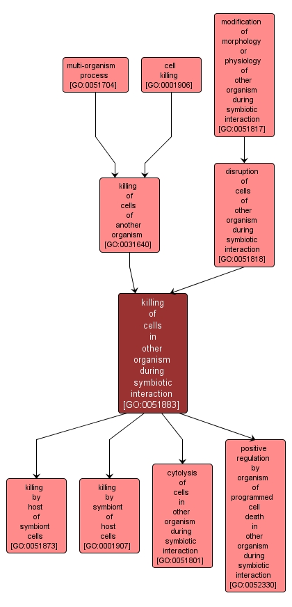 GO:0051883 - killing of cells in other organism during symbiotic interaction (interactive image map)