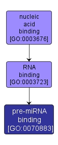 GO:0070883 - pre-miRNA binding (interactive image map)