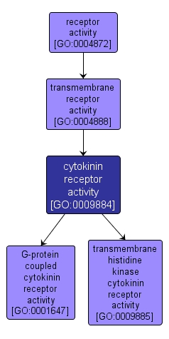 GO:0009884 - cytokinin receptor activity (interactive image map)