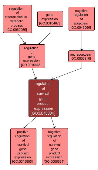 GO:0045884 - regulation of survival gene product expression (interactive image map)