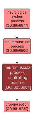 GO:0050884 - neuromuscular process controlling posture (interactive image map)