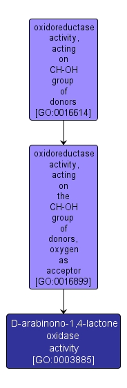 GO:0003885 - D-arabinono-1,4-lactone oxidase activity (interactive image map)