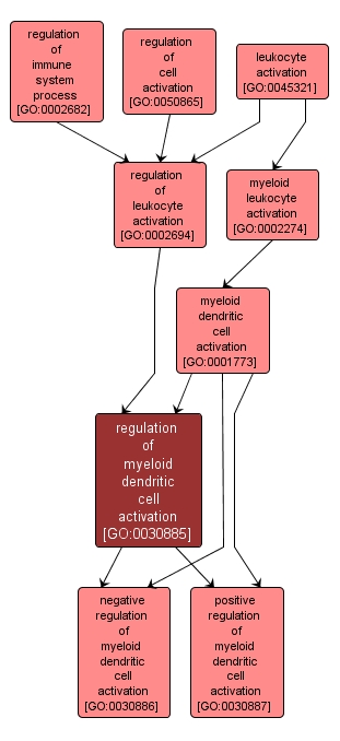GO:0030885 - regulation of myeloid dendritic cell activation (interactive image map)