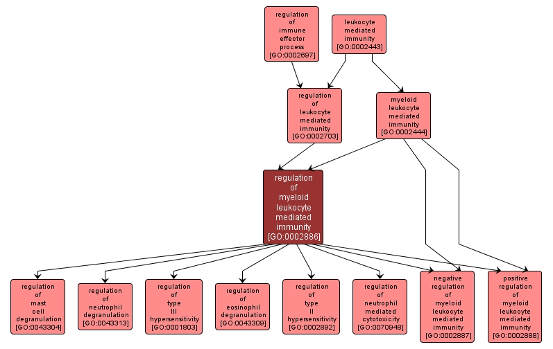 GO:0002886 - regulation of myeloid leukocyte mediated immunity (interactive image map)