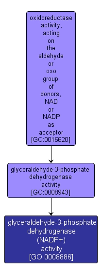 GO:0008886 - glyceraldehyde-3-phosphate dehydrogenase (NADP+) activity (interactive image map)
