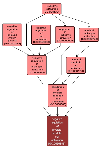 GO:0030886 - negative regulation of myeloid dendritic cell activation (interactive image map)