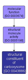 GO:0043886 - structural constituent of carboxysome (interactive image map)