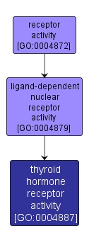 GO:0004887 - thyroid hormone receptor activity (interactive image map)