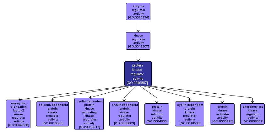 GO:0019887 - protein kinase regulator activity (interactive image map)