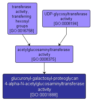 GO:0001888 - glucuronyl-galactosyl-proteoglycan 4-alpha-N-acetylglucosaminyltransferase activity (interactive image map)