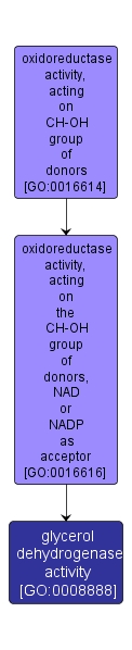 GO:0008888 - glycerol dehydrogenase activity (interactive image map)