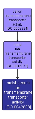 GO:0042888 - molybdenum ion transmembrane transporter activity (interactive image map)