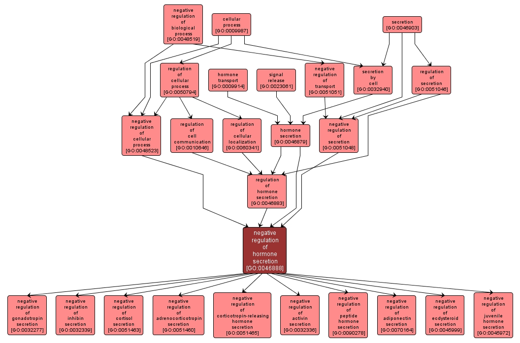 GO:0046888 - negative regulation of hormone secretion (interactive image map)